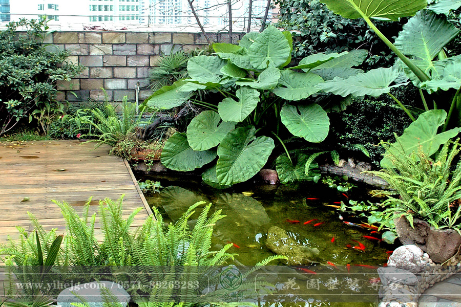 露臺(tái)花園｜露臺(tái)假山水溪景觀(guān)｜露臺(tái)木平臺(tái)景觀(guān)設(shè)計(jì)｜私家小露臺(tái)景觀(guān)綠化