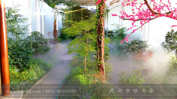 這樣的室內(nèi)庭院，簡(jiǎn)直讓我尖叫！